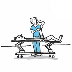 Fysiotherapeut worden